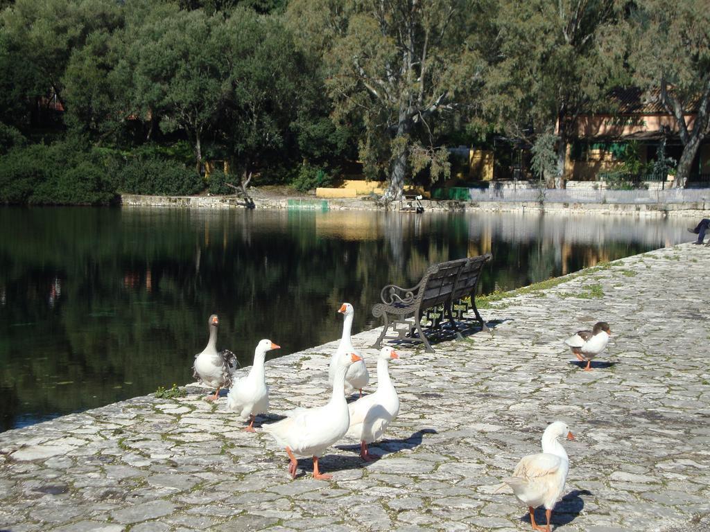Memories Βίλα Σάμη Εξωτερικό φωτογραφία